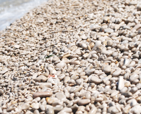 strand_DSC_0740_HD_final