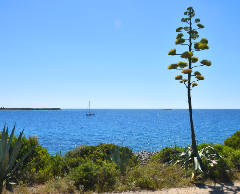 unije-insel_DSC_0600_HD_final
