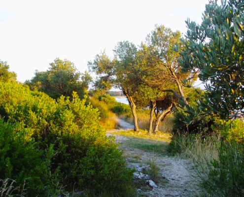 weg-strand_Weg2_HD_final